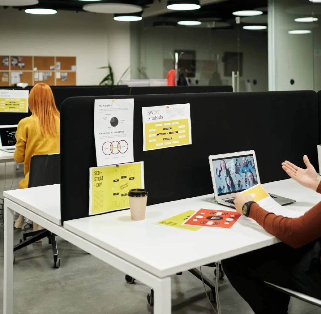 Services offered by us